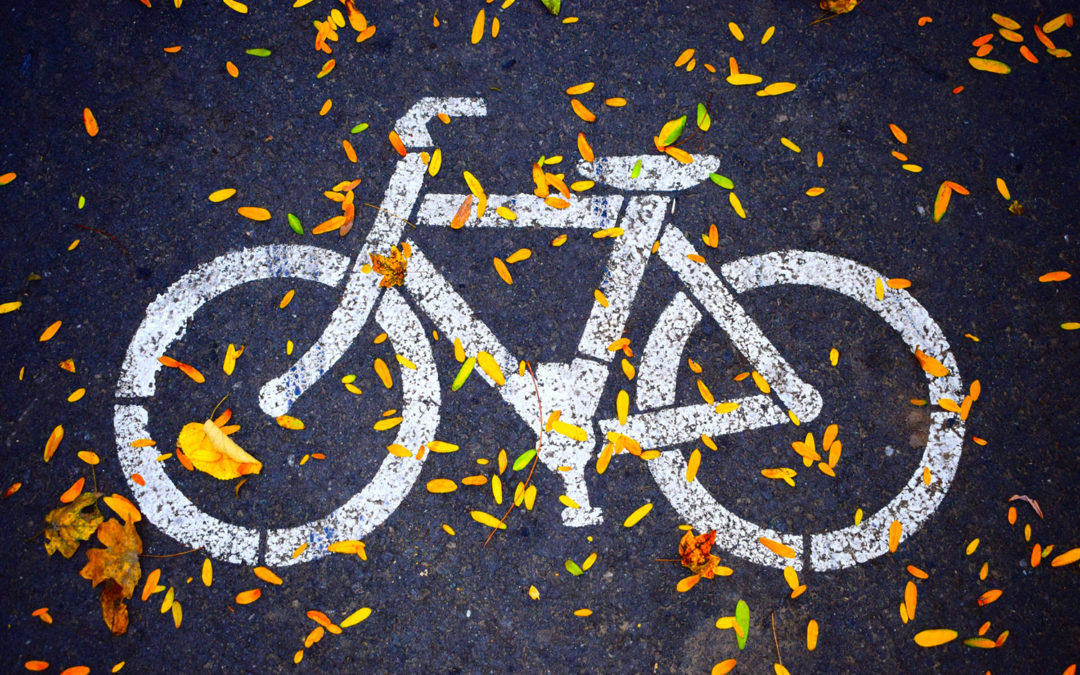 Location vélos